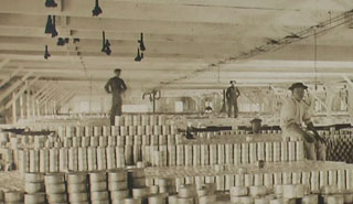 Chinese man in cannery