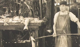 Chinese men in cannery